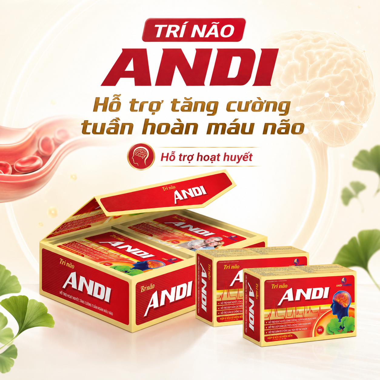 Trí Não Andi